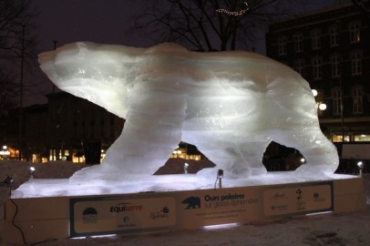 ice bear (toronto)