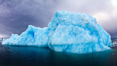 Antarctica x Air New Zealand