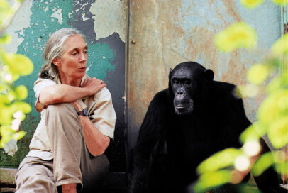 Dr. Jane Goodall 
