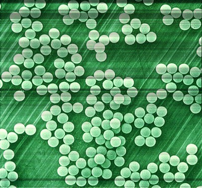 Image courtesy of Time.com