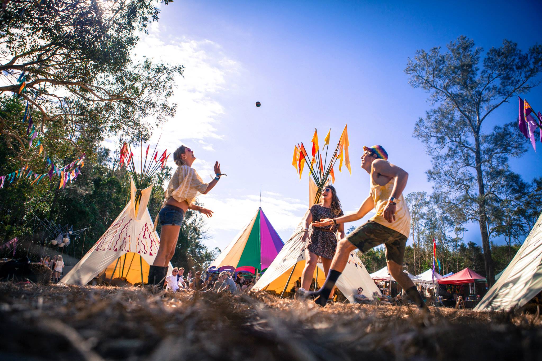 1073199_10151740439237436_1825036820_o