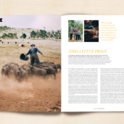 Peppermint Issue 26 - Jonai Farms
