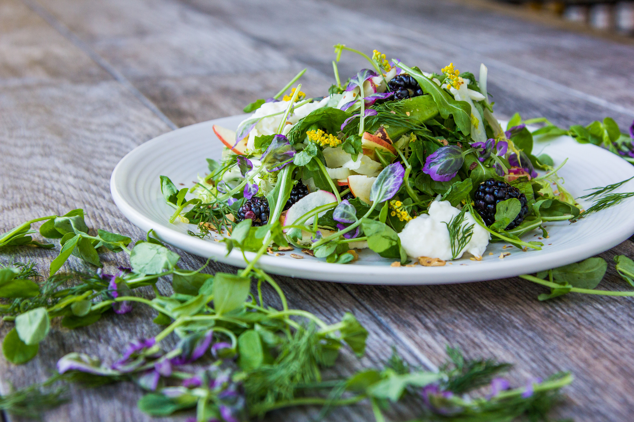 Wanderlust Sunshine Coast food 
