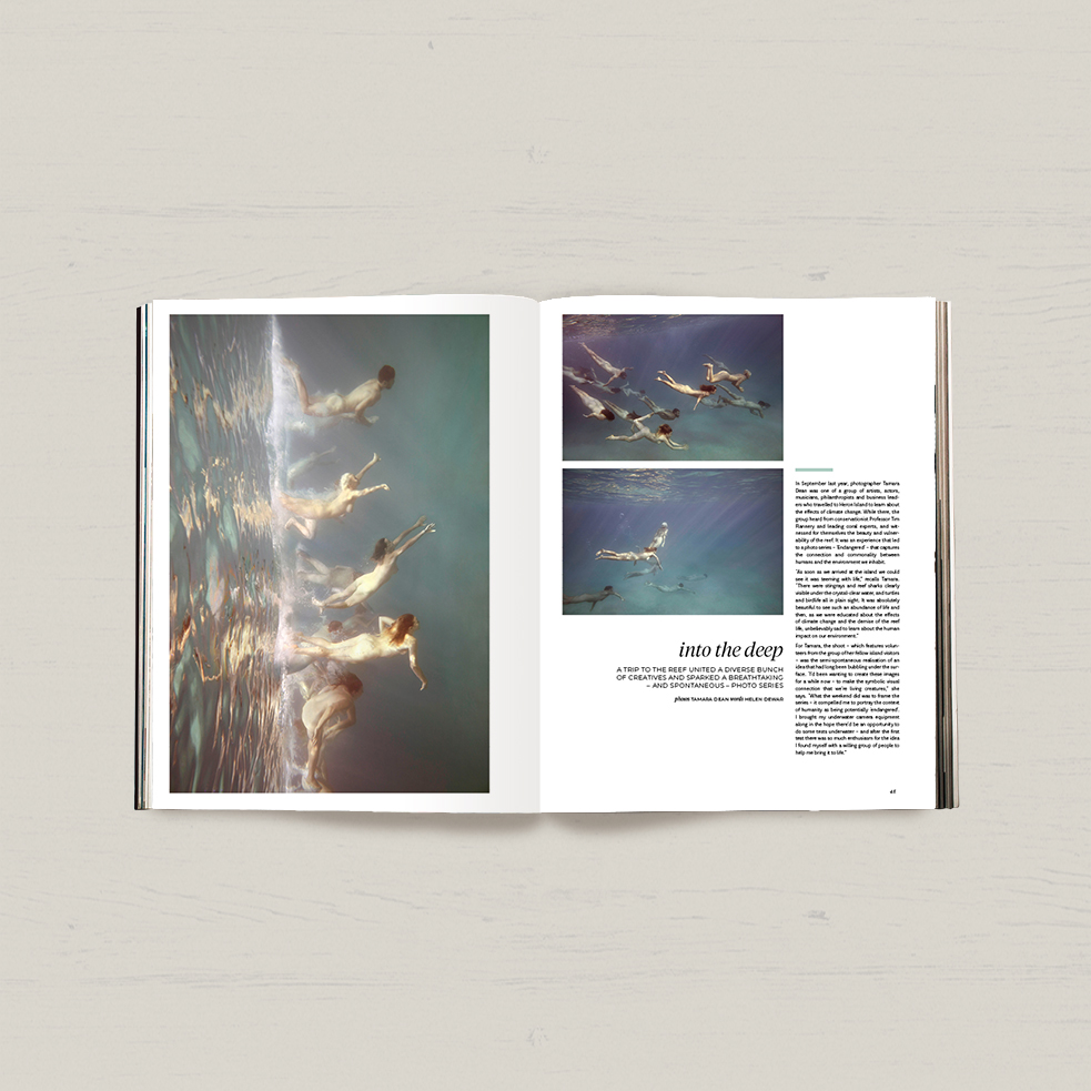 Issue 41 - Image 8