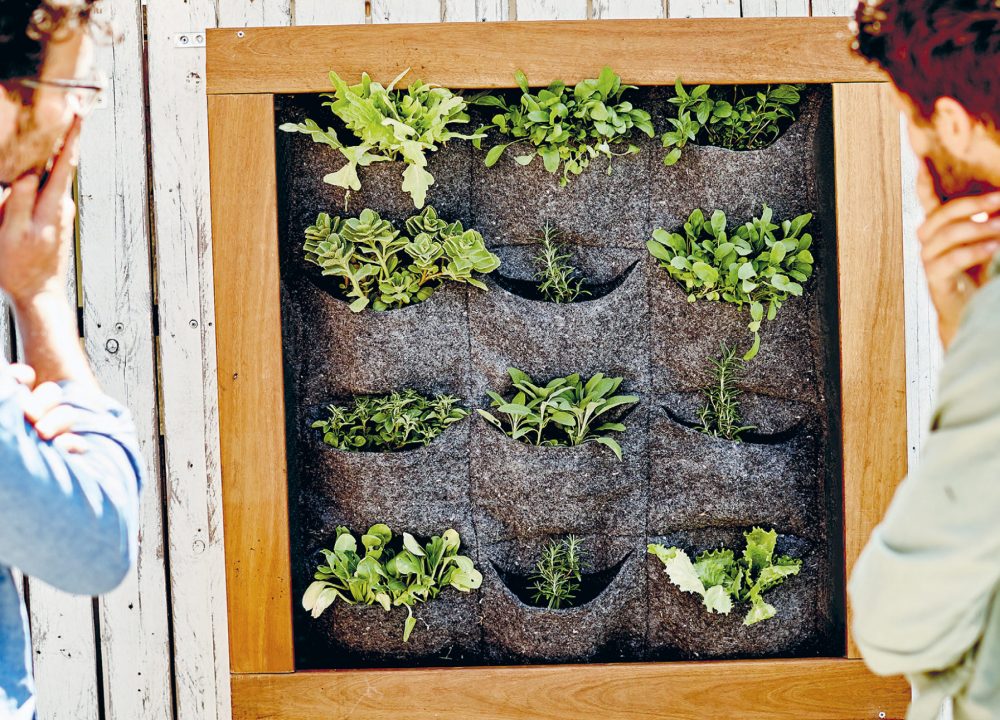 Peppermint make your own DIY garden wall planter
