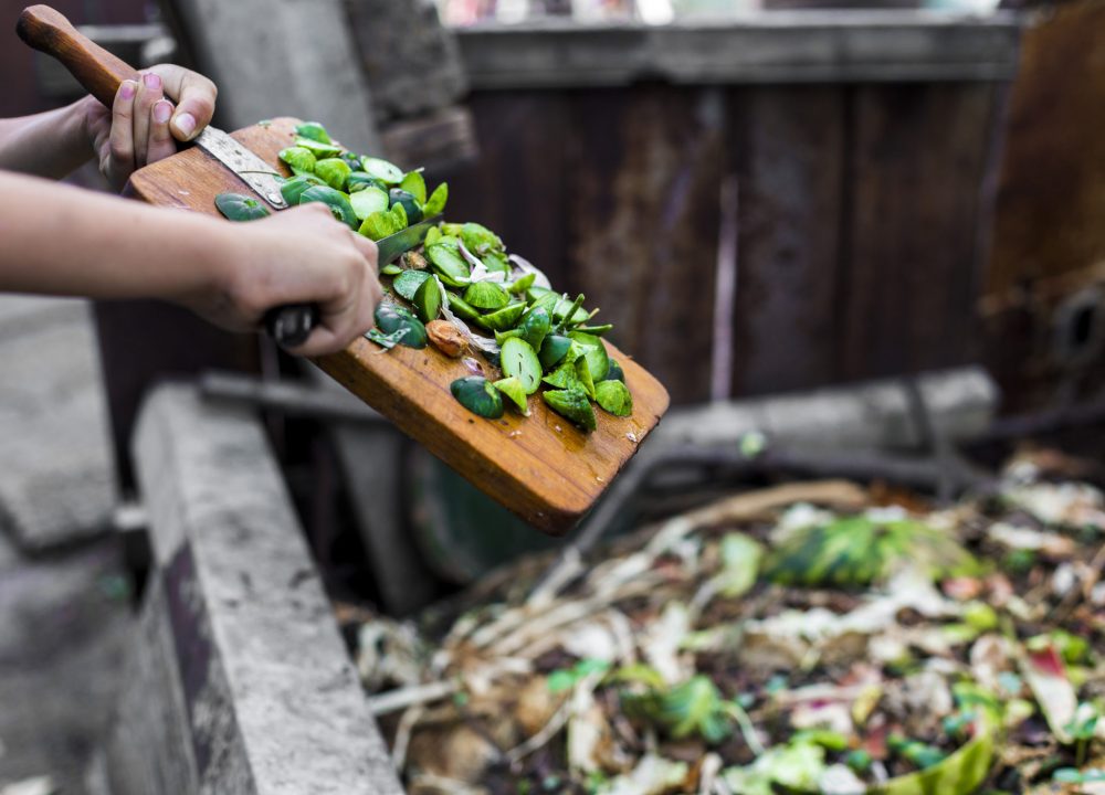 Plastic Free July Bin Audit