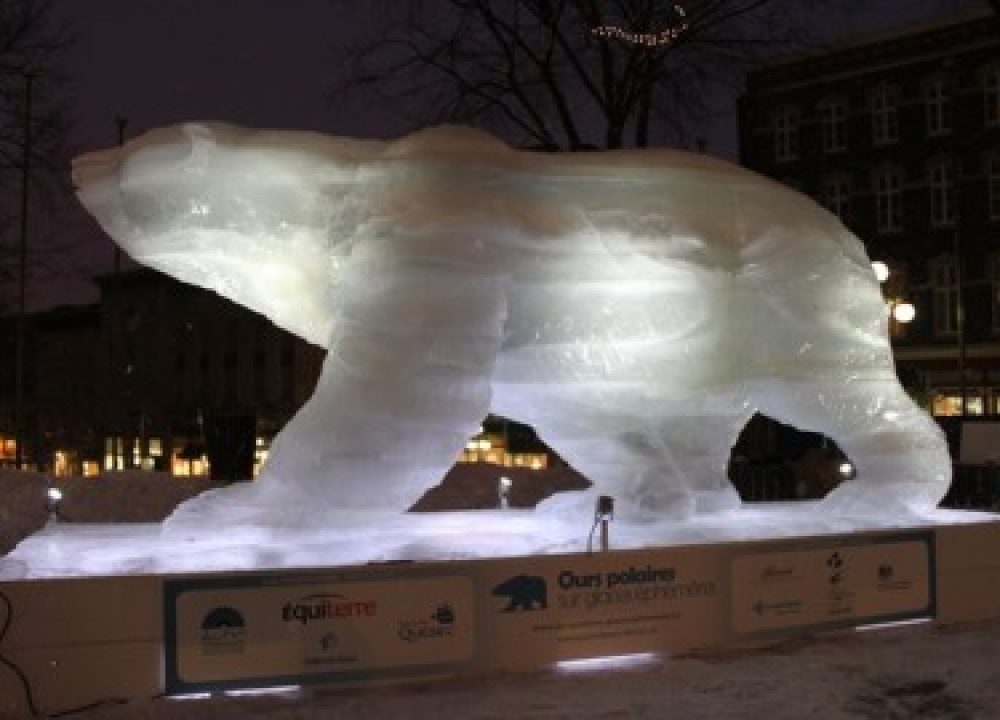 ice bear (toronto)