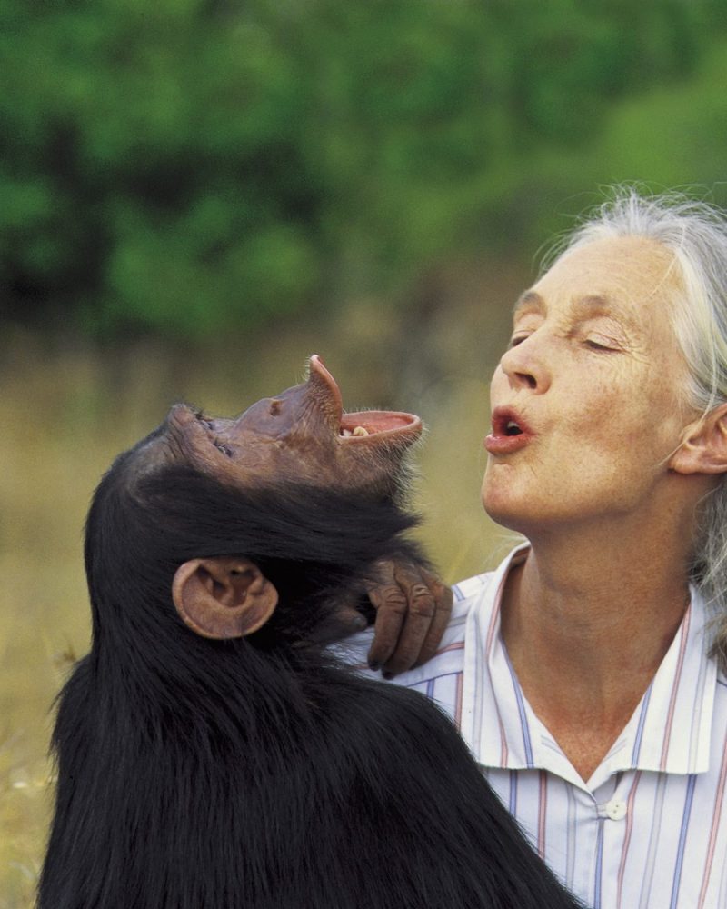 Jane Goodall