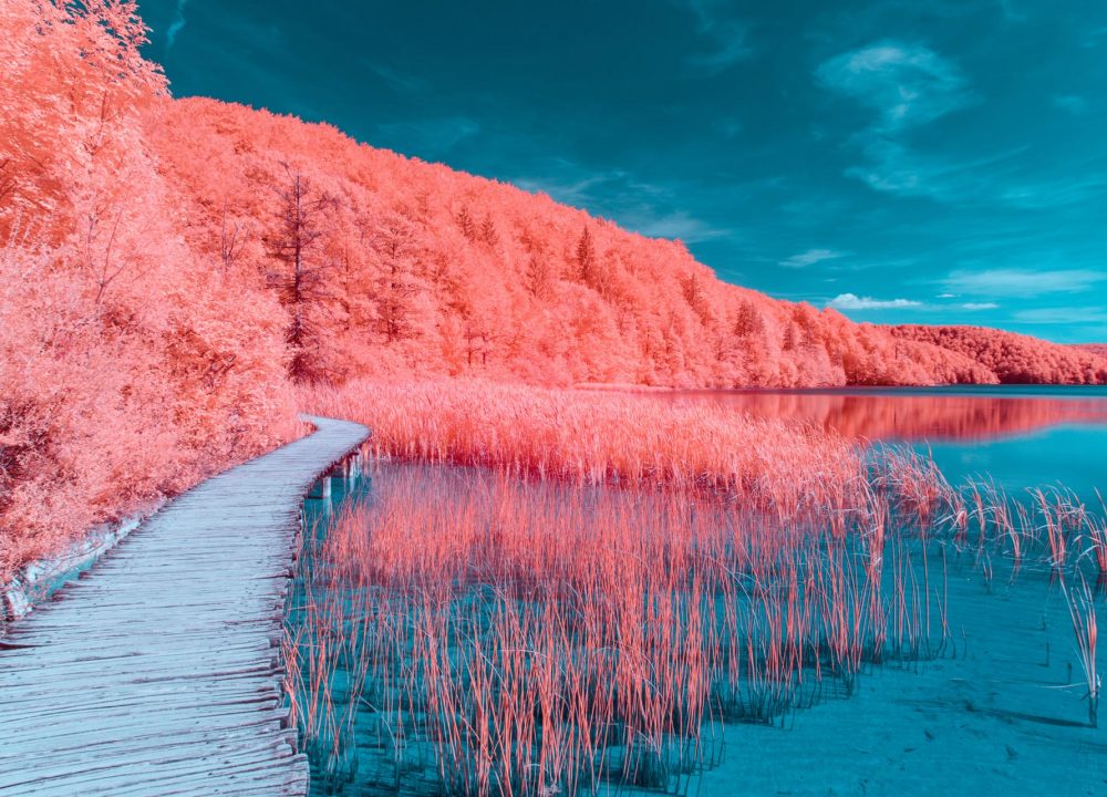 Pantone Living Coral – Peppermint magazine