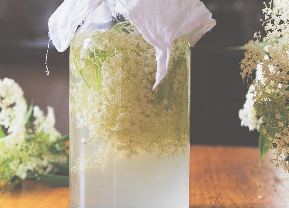 Milkwood - Elderflower Soda