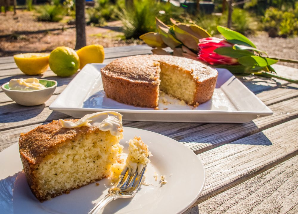 Lighthouse baking and Peppermint magazine recipe