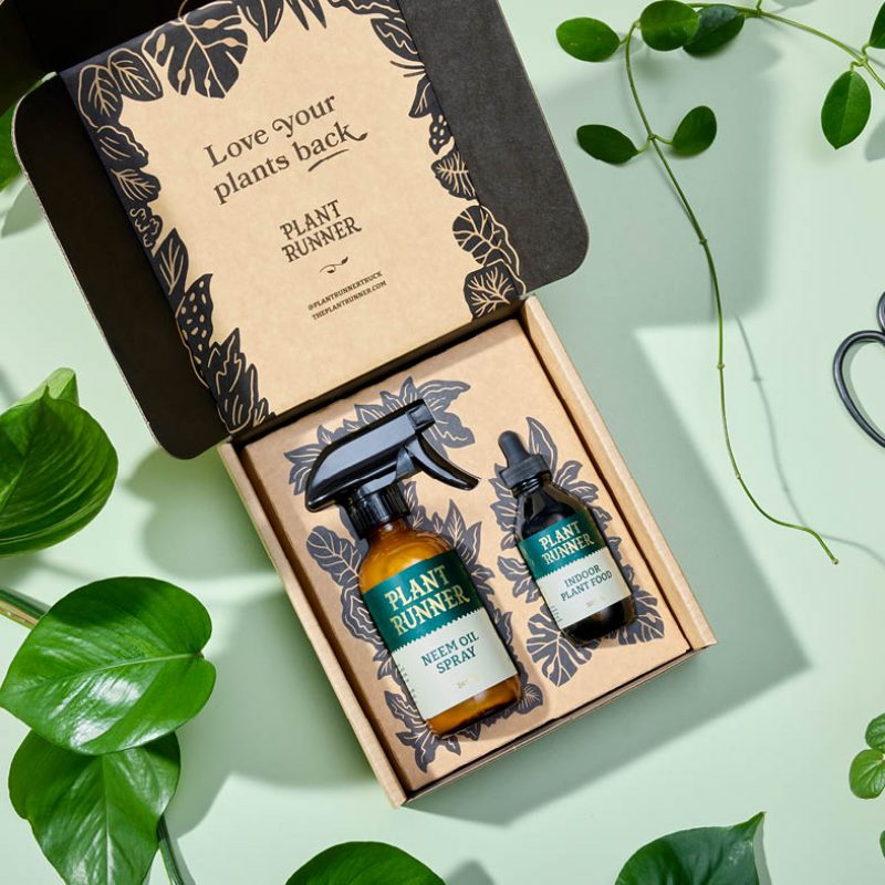 Peppermint-PlantRunner-1