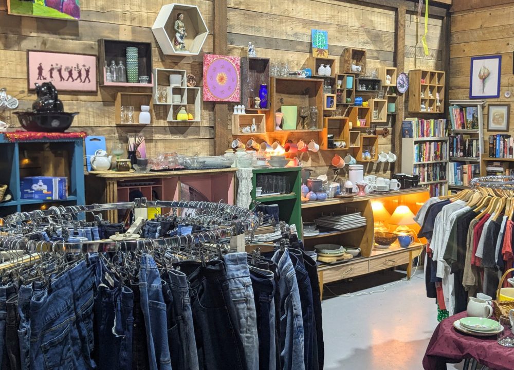 Peppermint-TheGoodOpShop-header