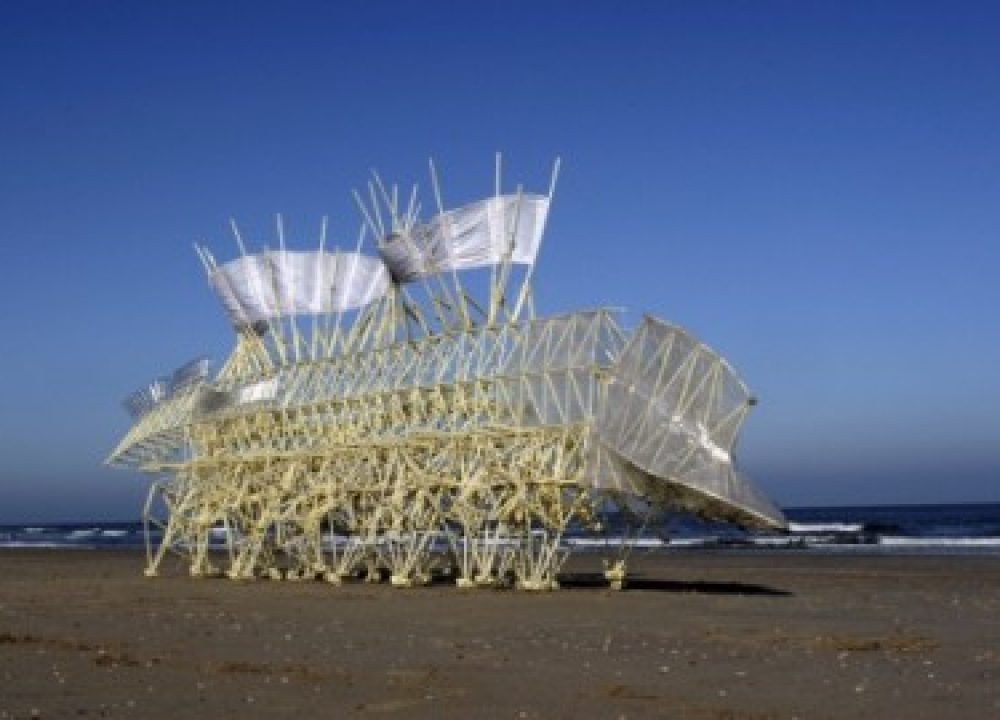 Strandbeest2