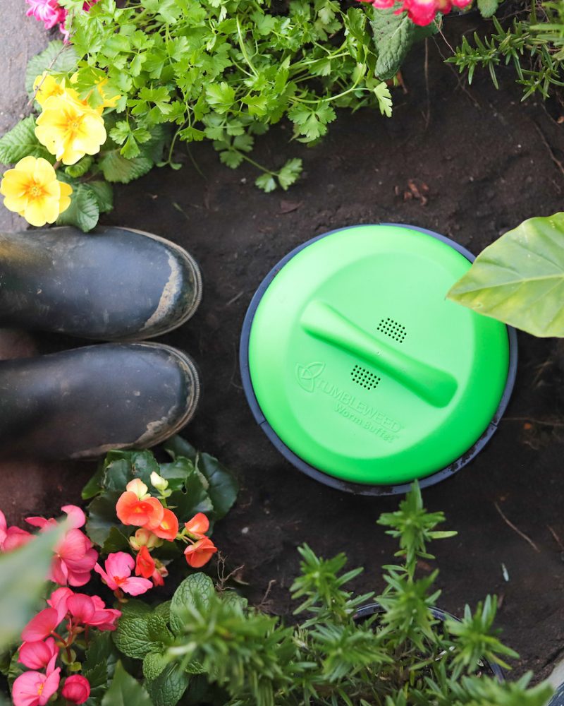 Tumbleweed-Compost-Myths-1