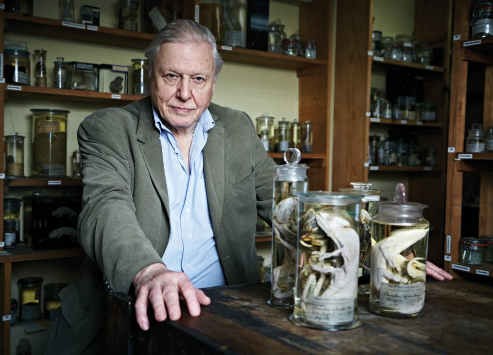 David Attenborough Peppermint Magazine Population Growth