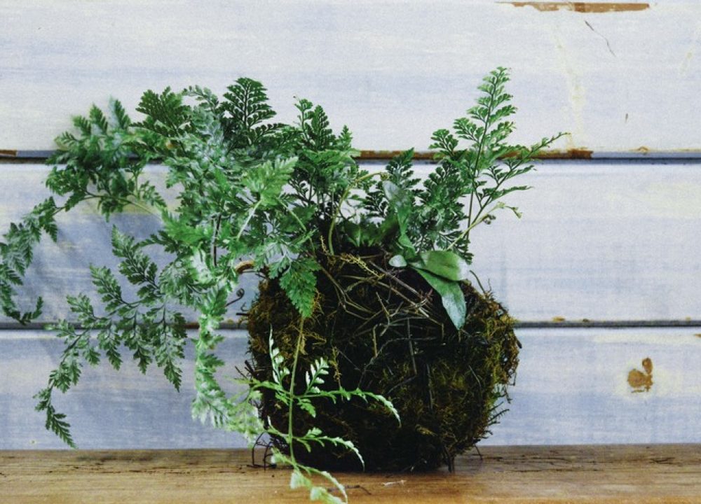 Image courtesy of vieillebranch.com.au