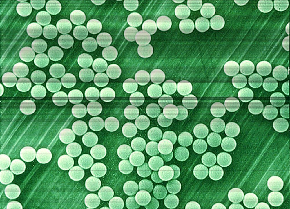 Image courtesy of Time.com