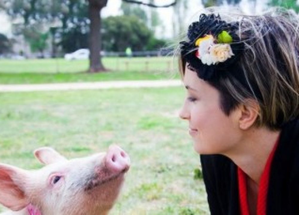 missy higgins make it possible