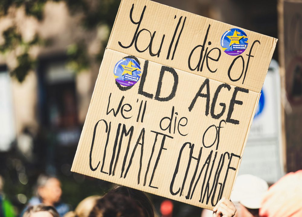 pexels-markusspiske-2990605