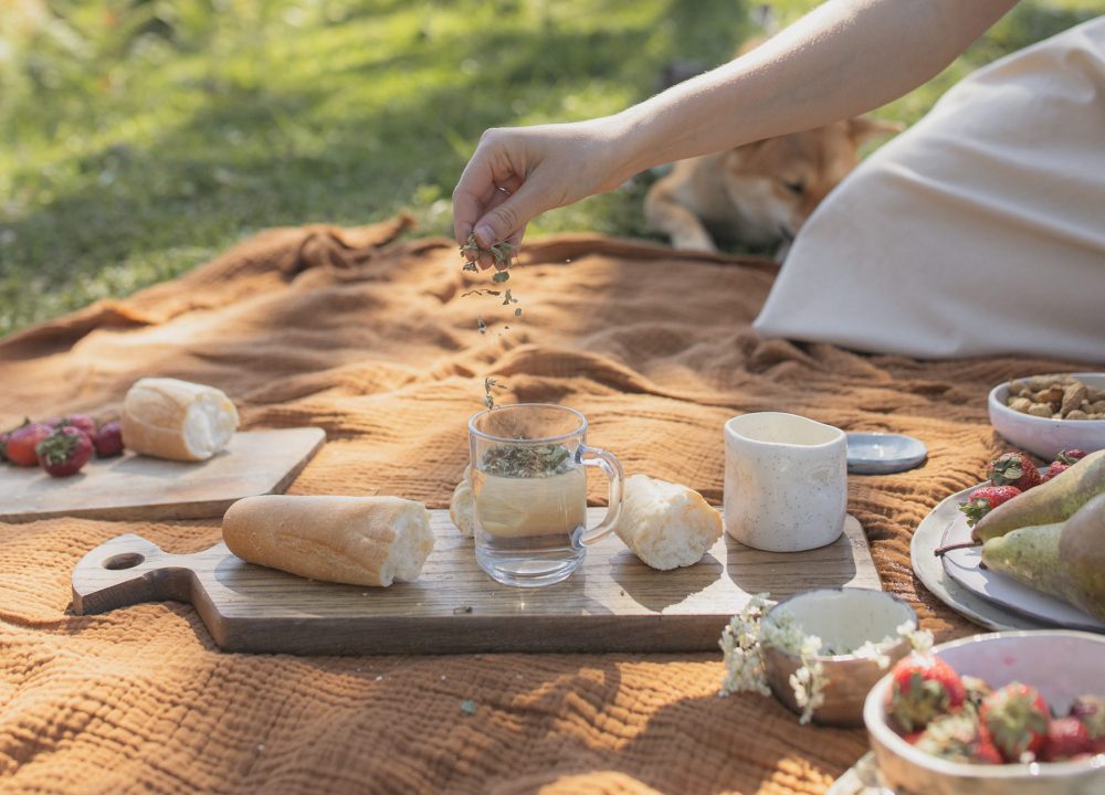 picnic-yaroslav-shuraev