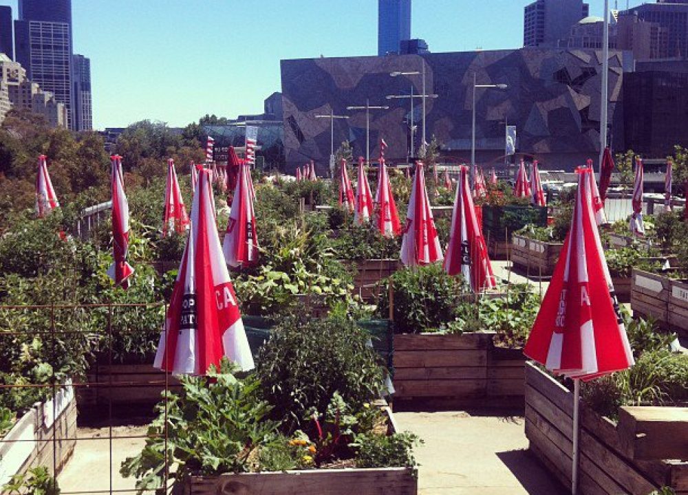 Fed Square Pop Up Patch