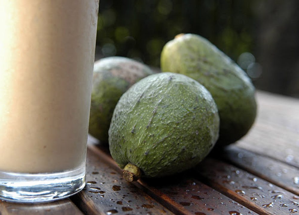 Chocolate Avocado Smoothie